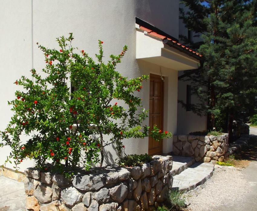 Apartmani Juliska Pirovac Εξωτερικό φωτογραφία